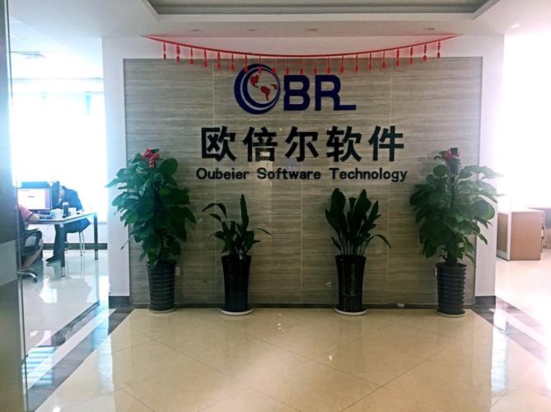如何高效选择定制软件开发服务?